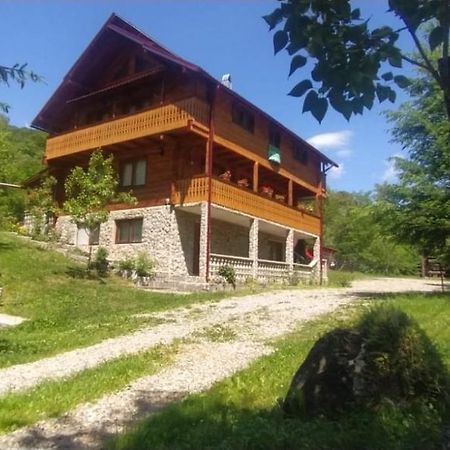 Pensiunea Simina Viseu de Jos Exteriör bild