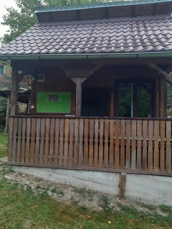 Pensiunea Simina Viseu de Jos Exteriör bild